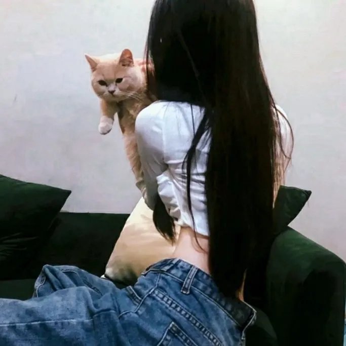 我的天才女友第二季